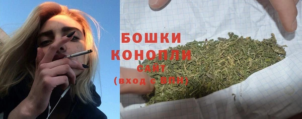 прущие грибы Бугульма