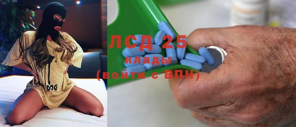 прущие грибы Бугульма