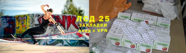 прущие грибы Богородск