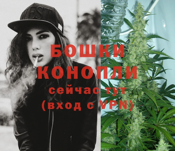 хмурый Бронницы