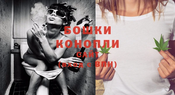 прущие грибы Бугульма