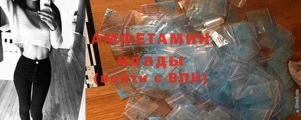 прущие грибы Бугульма