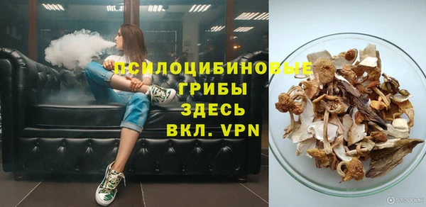 прущие грибы Бугульма