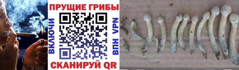 Галлюциногенные грибы ЛСД  Домодедово 